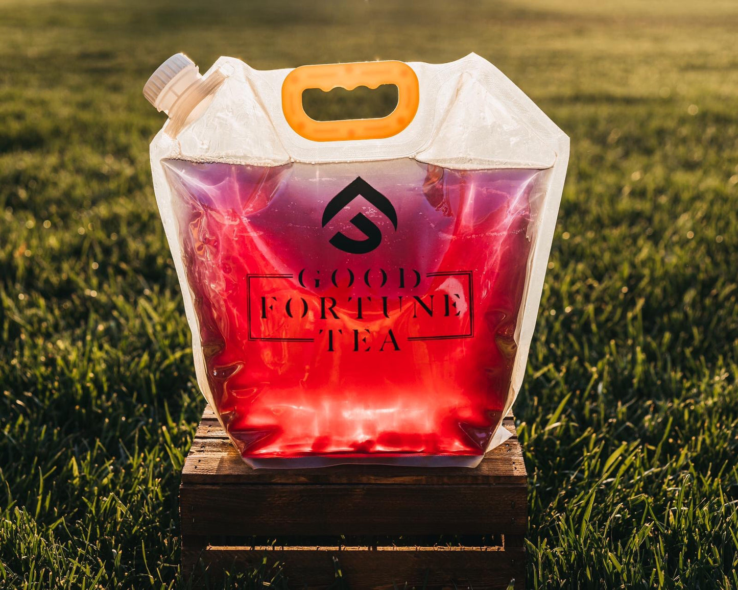 Butterfly Lemongrass Cold Brew Tea